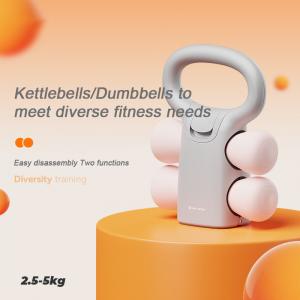 Dumbbell Kettlebell 2 in 1